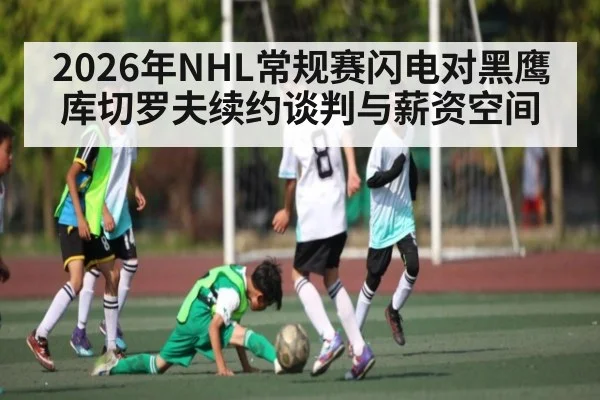 2026年NHL常规赛闪电对黑鹰 库切罗夫续约谈判与薪资空间（leyu）